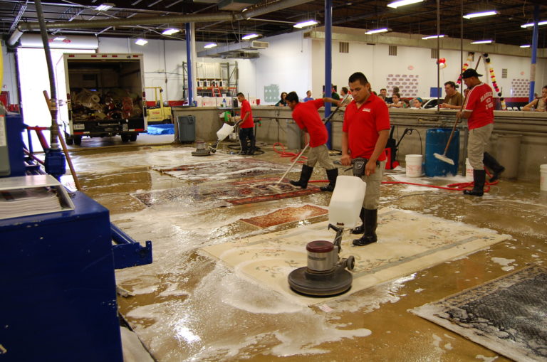 Great Job Cleaning Rugs Alexandria Hadeed Carpet and Rug